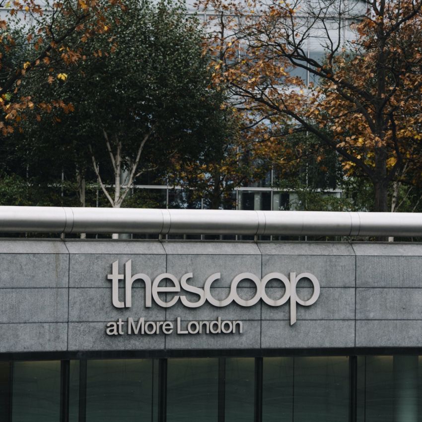 The Scoop Logo on The Scoop