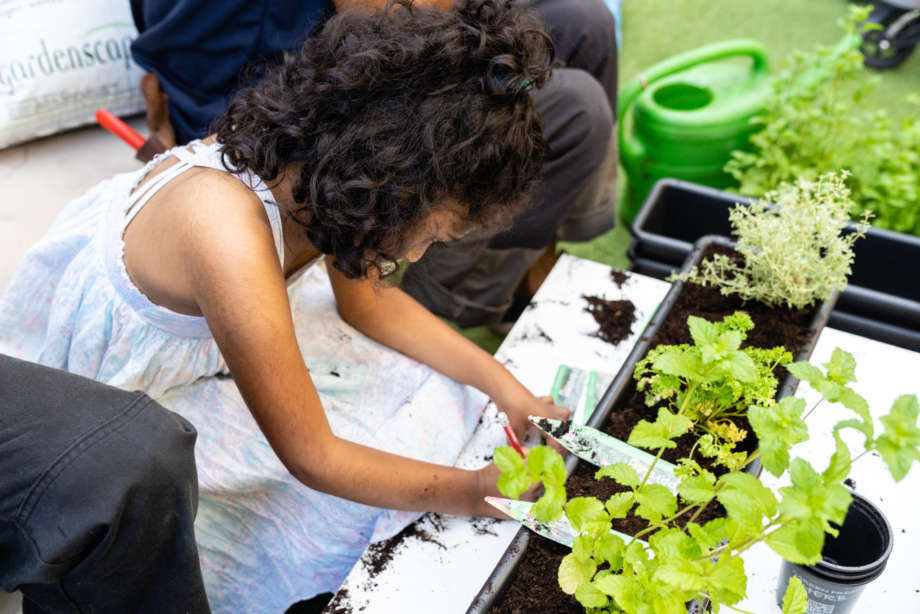 190629 Kid S Planting Workshop